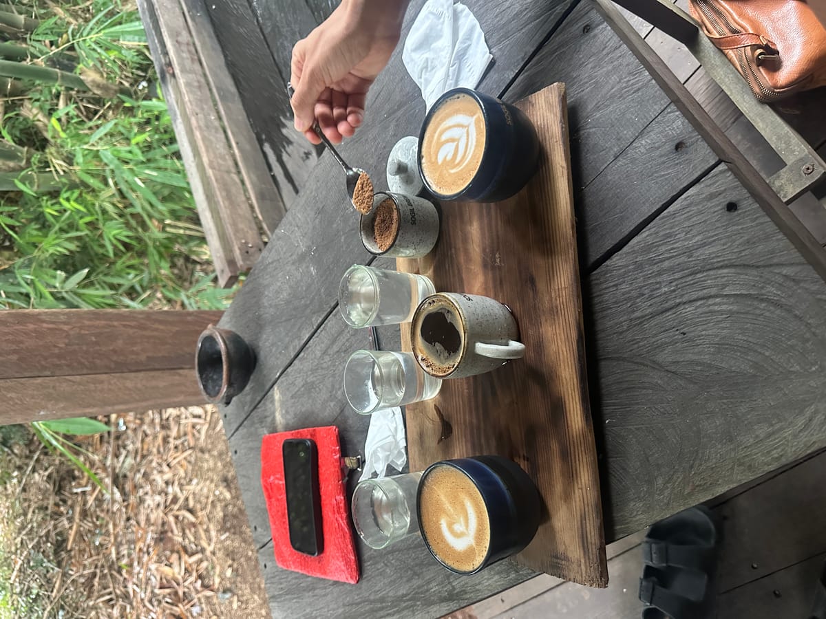 coffee at new coffee shop's opening